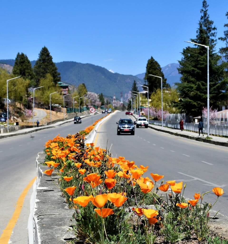 Doebum Lam in Thimphu