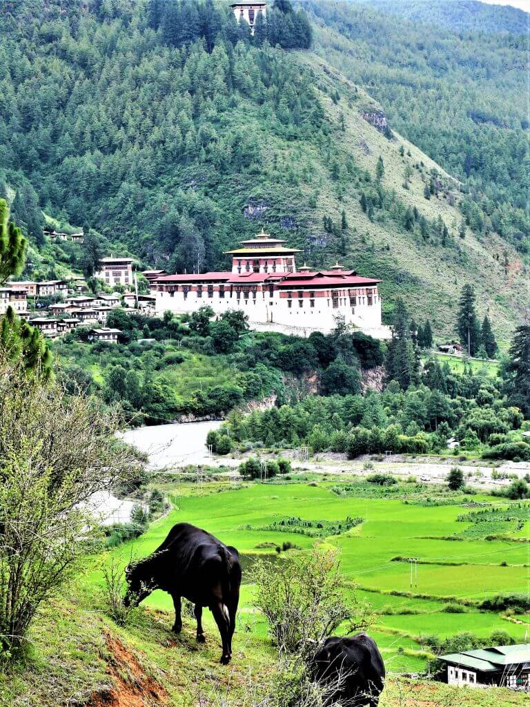 Paro Rinpung Dzong