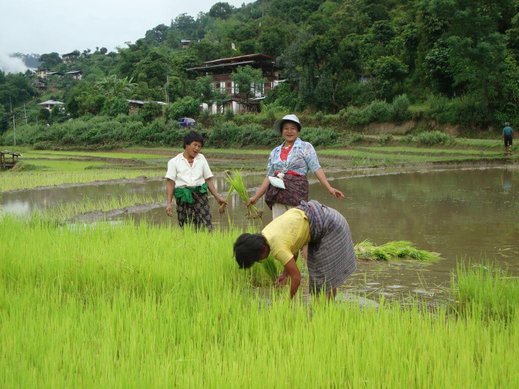 Women farmers